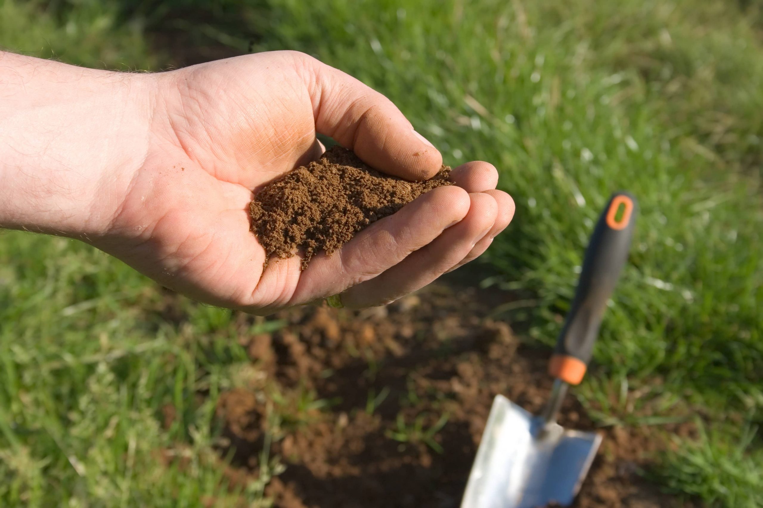 Как узнать кислотность почвы на участке. Почва. Кислая почва. Закисленность почвы. Дренированная почва.