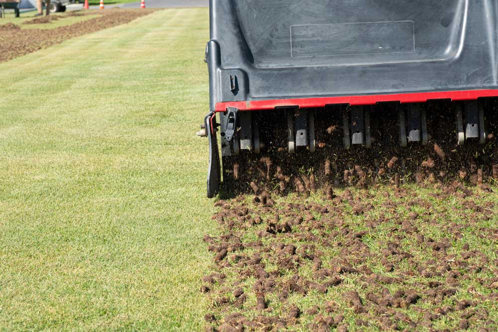 The-Benefits-of-Aerating-Your-Lawn---Header