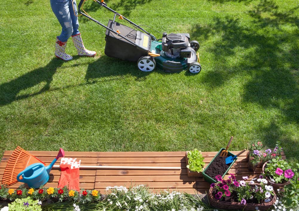 Tips to Keep Your Summer Lawn in Shape